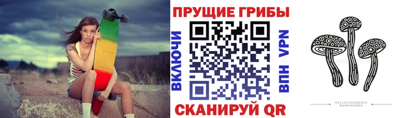 купить   Невинномысск  Галлюциногенные грибы Cubensis 